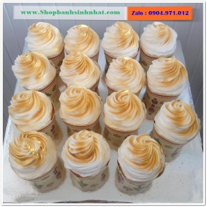 Bánh Sinh Nhật Cupcake - CUP48